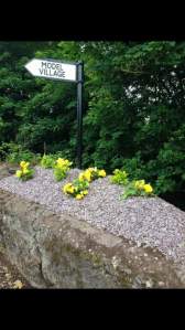 FB_IMG_1457026847518